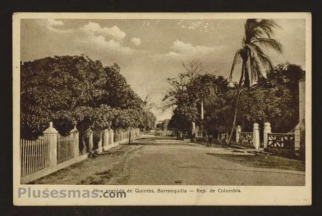compra de coleccion de postales antiguas bogota