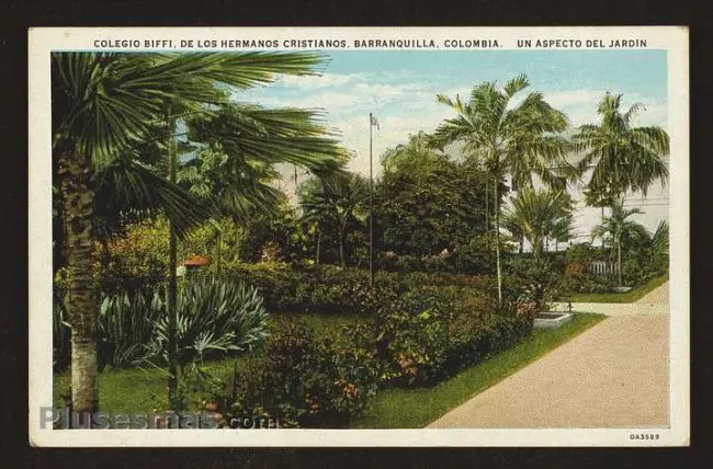 compra de coleccion de fotos antiguas mompox