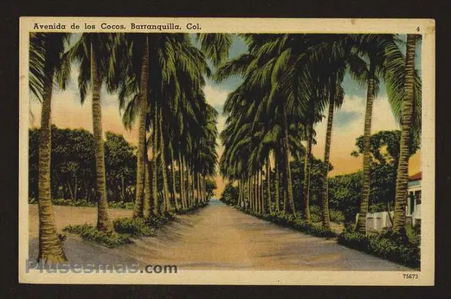 compra de coleccion de postales antiguas sincelejo